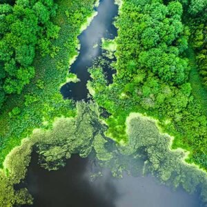 Diseño Biofílico de Interiores y Oficinas