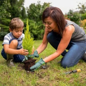 Instalación de Jardines Verticales Modulares de Bajo Mantenimiento
